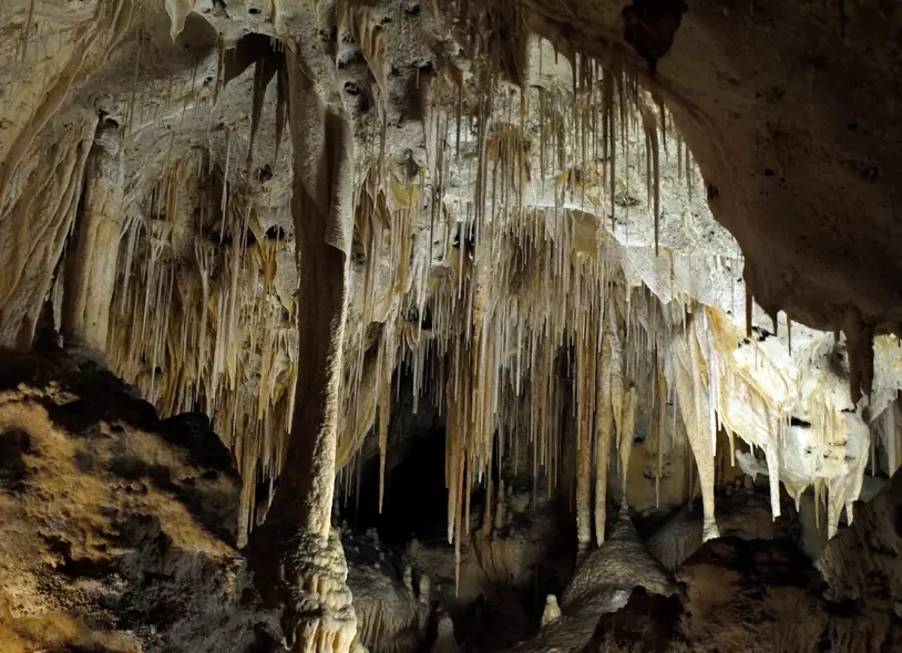 Carlsbad Caverns tours