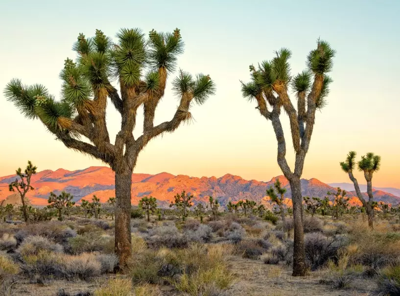 Things to do in California