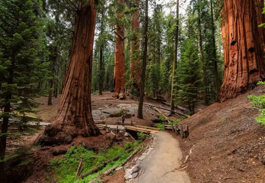 California travel guide