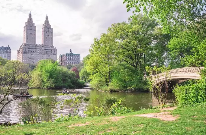 things to do in New York