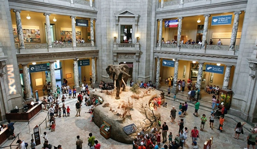 top kid-friendly destinations USA