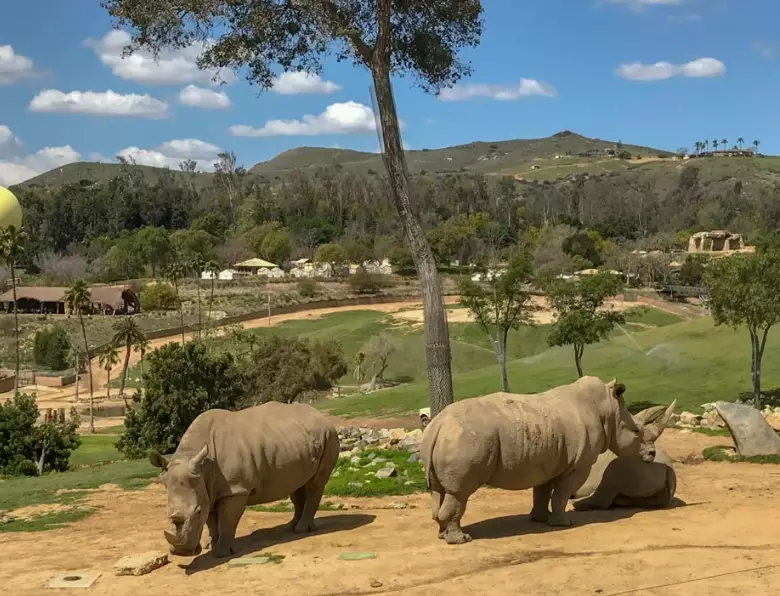 best family attractions in USA