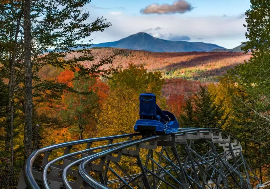 New York City family travel