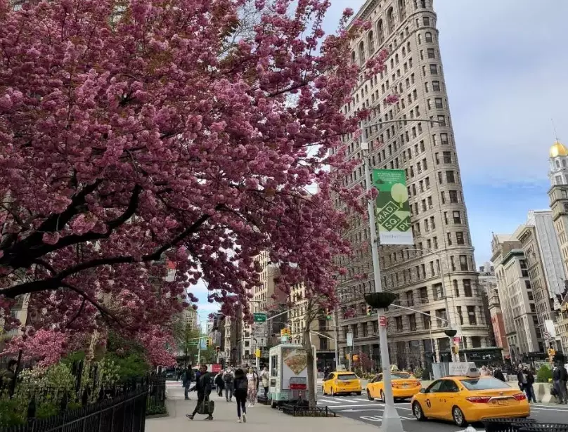 best things to do NYC