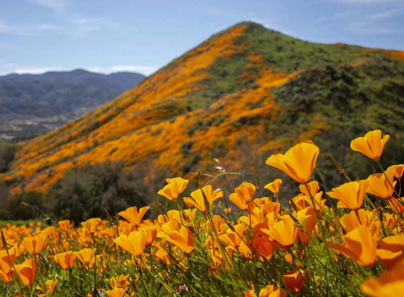 best time to visit California to avoid crowds
