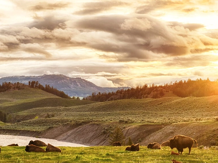 when to visit yellowstone