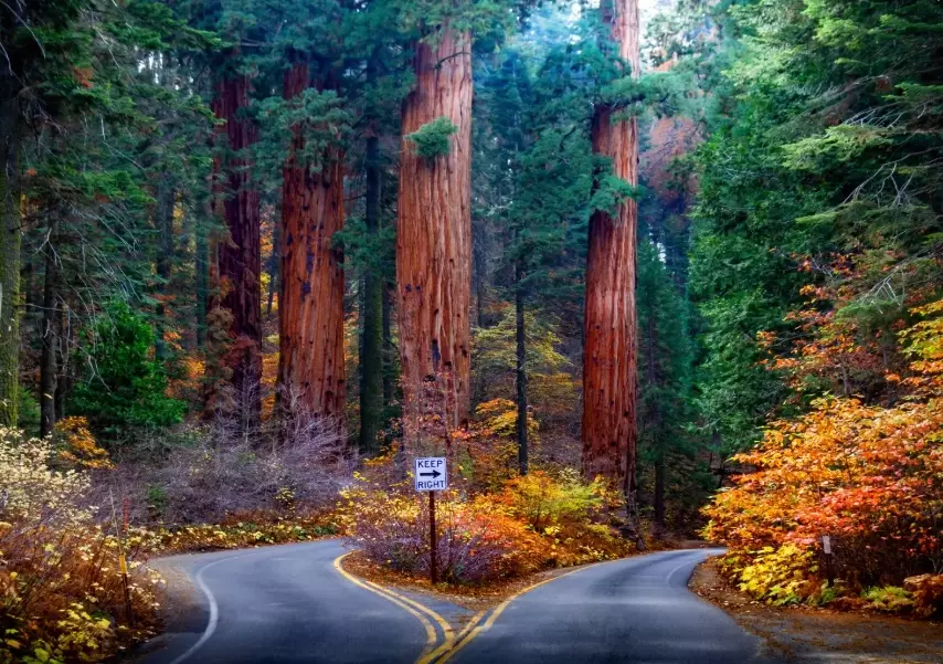 Best time to visit California National parks