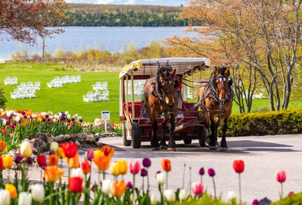 Unique family vacations USA on a budget