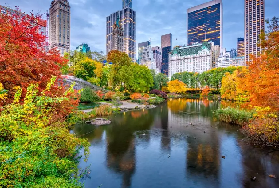 best week to visit NYC October