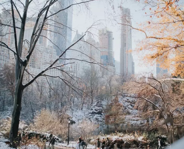 new york winter weather