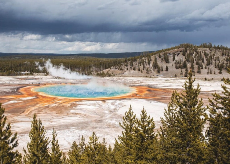 Times Square visitor numbers
