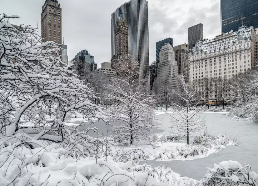 best time to see snow in New York