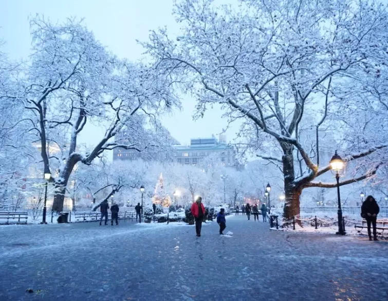 new york winter activities