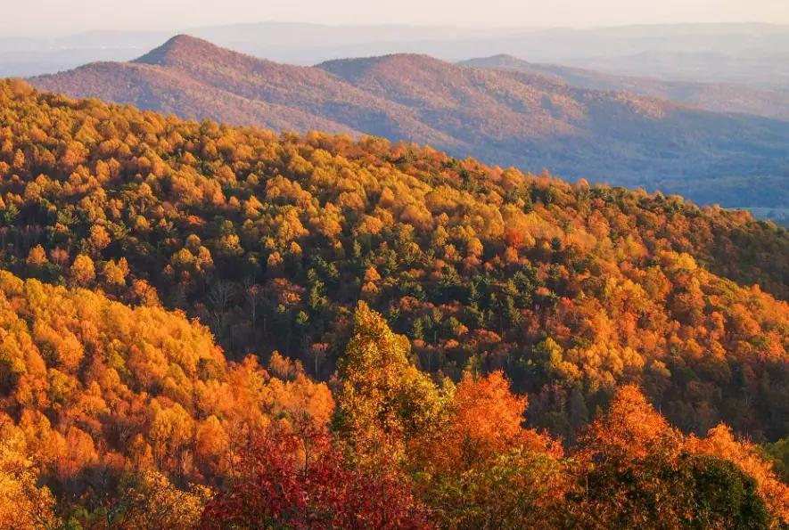 best time to see fall colors