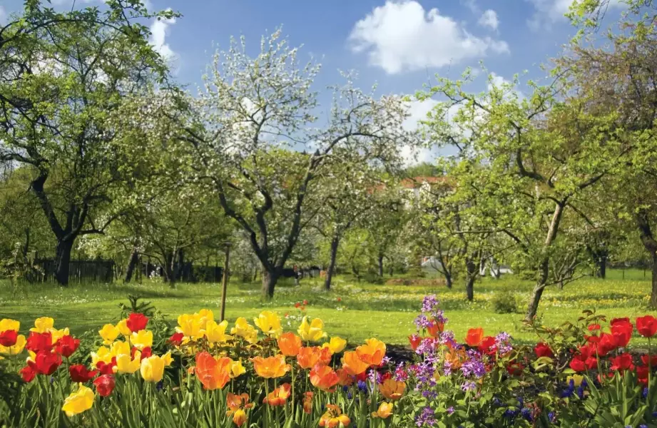 Which season is best in America?