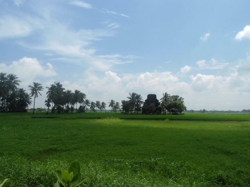 east coast weather by month