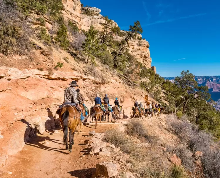 best places to travel with kids in America