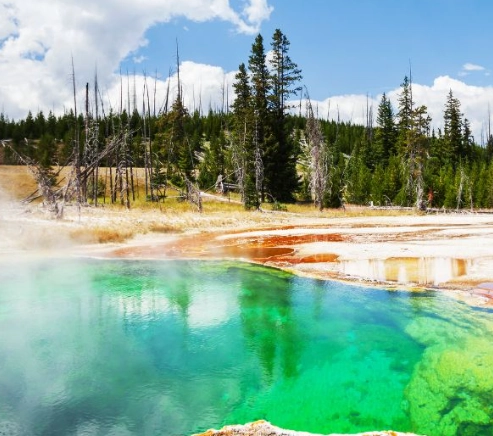 USA family trip ideas