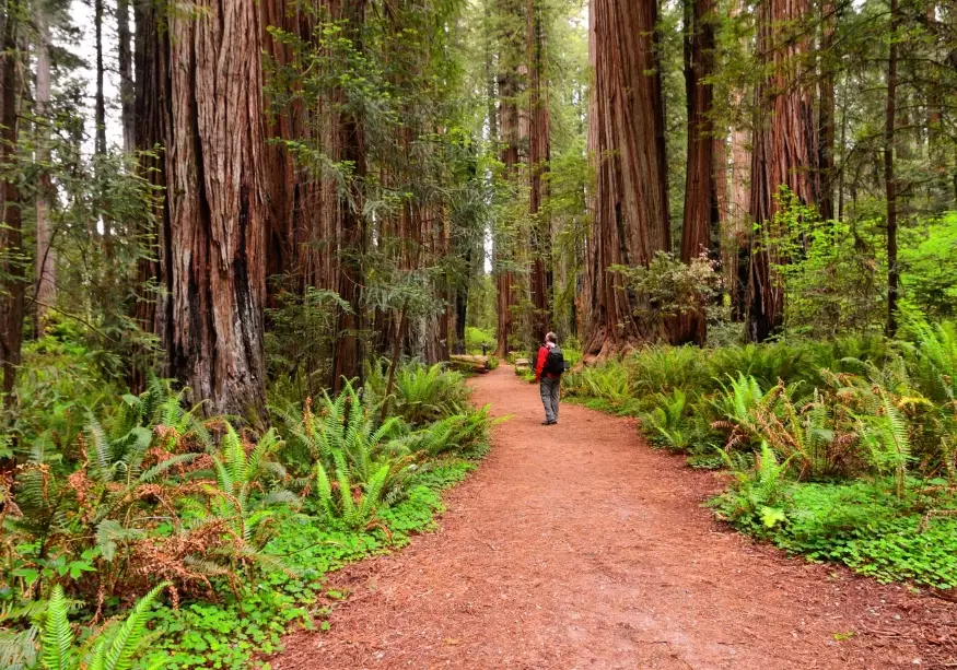 California family attractions