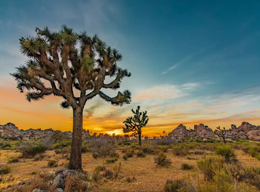 cheap romantic getaways southern california