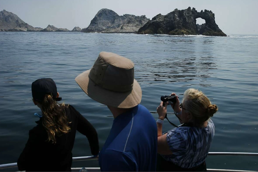 San Francisco marathon swim