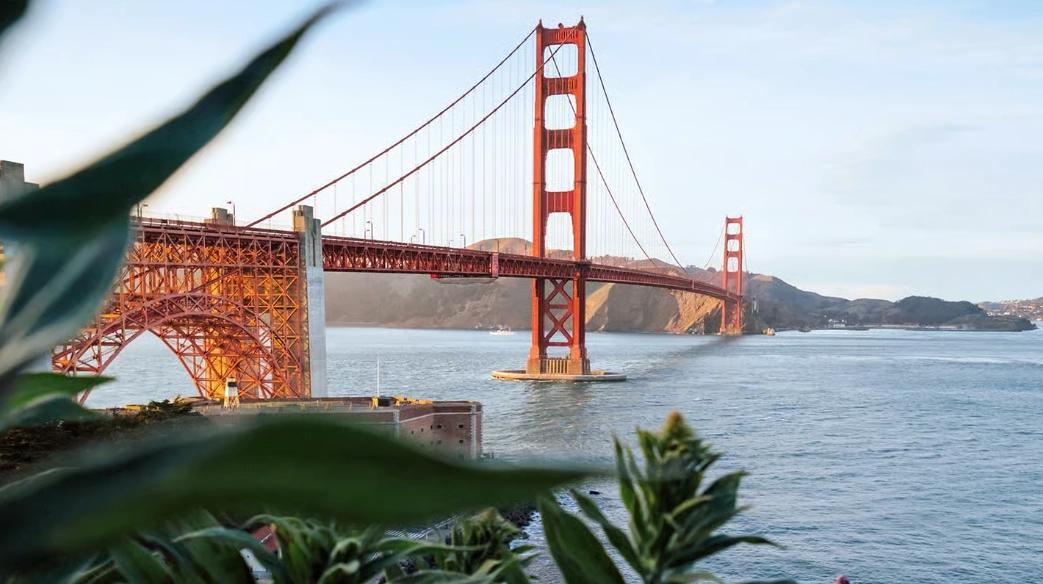 what to do in San Francisco