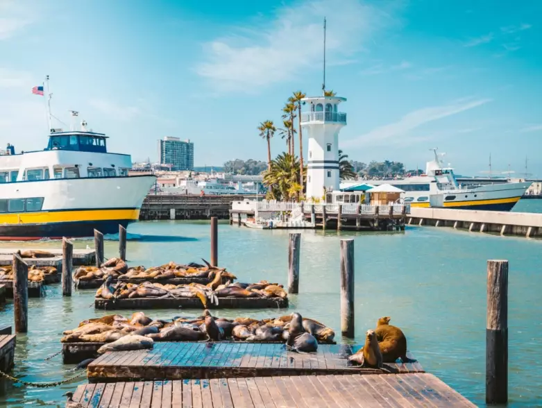 is San Francisco safe