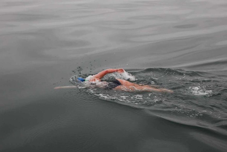 Farallon Islands swim