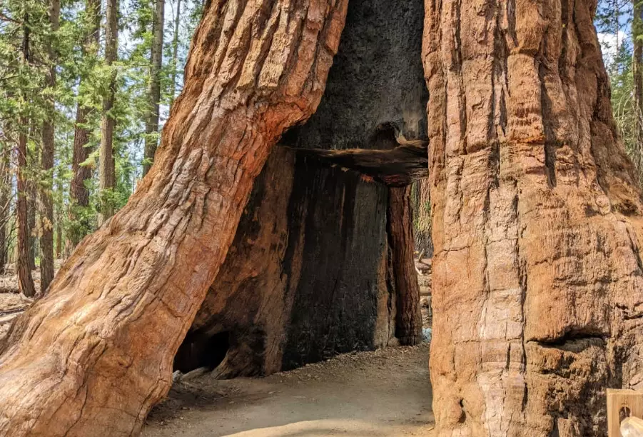 unique California experiences