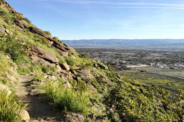 free things to do in california